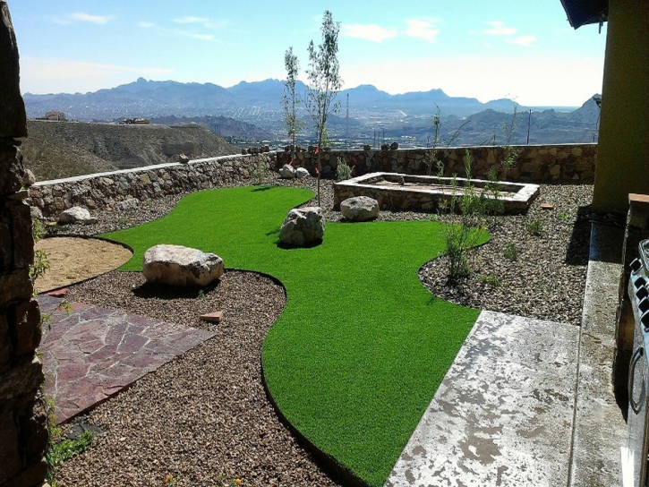 Synthetic Pet Turf Mission Viejo California for Dogs Back