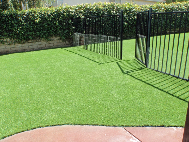 Synthetic Pets Areas Sky Valley California Installation