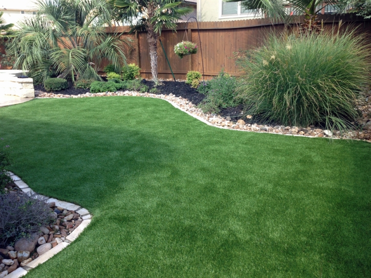 Synthetic Pets Areas Sun City California for Dogs Back Yard