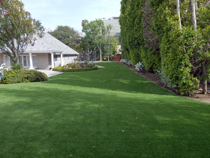 Synthetic Pets Areas Trabuco Canyon California Installation