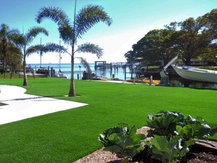 Synthetic Turf Aguanga California Lawn Front Yard