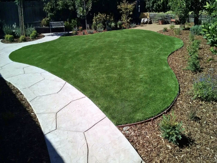 Synthetic Turf Anza California Lawn Back Yard