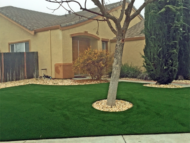 Synthetic Turf Artesia California Landscape