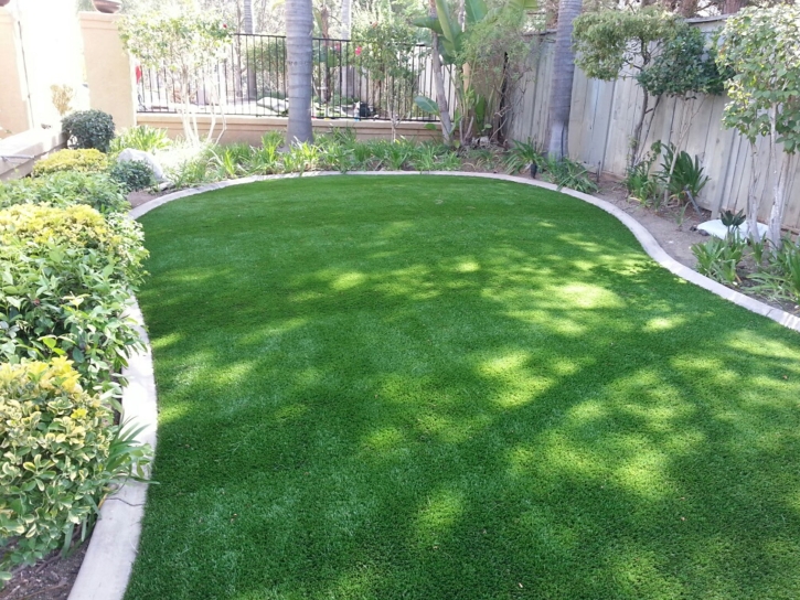 Synthetic Turf Casa de Oro-Mount Helix, California Landscape Photos