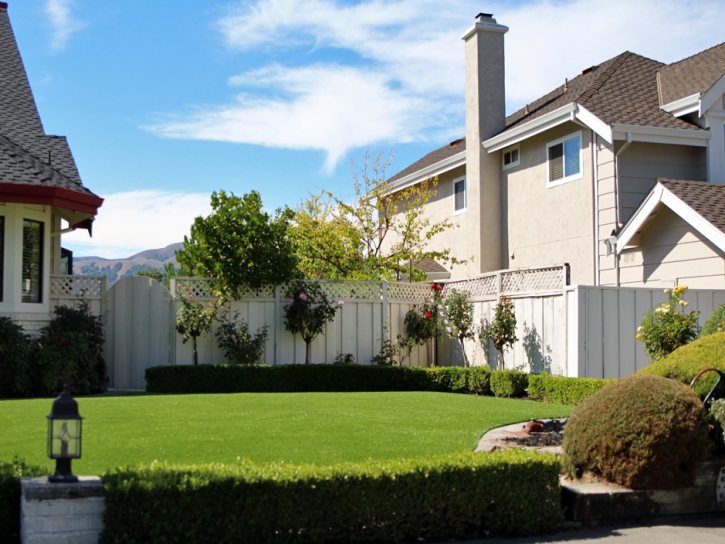 Synthetic Turf Costa Mesa California Lawn Fountans Back