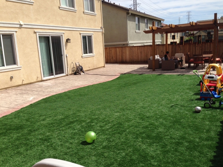 Synthetic Turf Descanso, California Landscaping, Beautiful Backyards