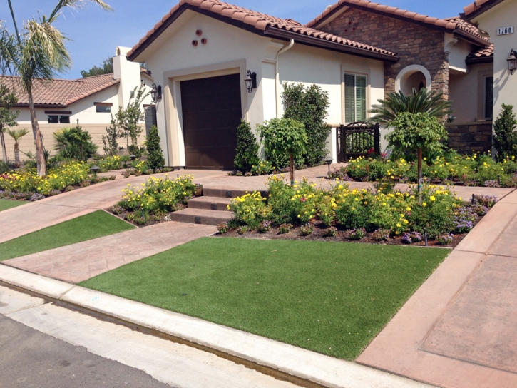 Synthetic Turf El Cerrito California Landscape Back Yard