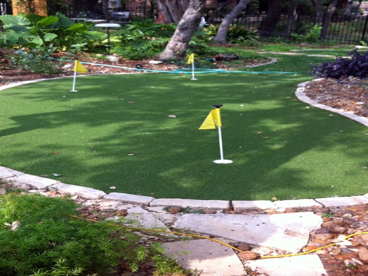 Synthetic Turf Fairbanks Ranch California Lawn Pools Back