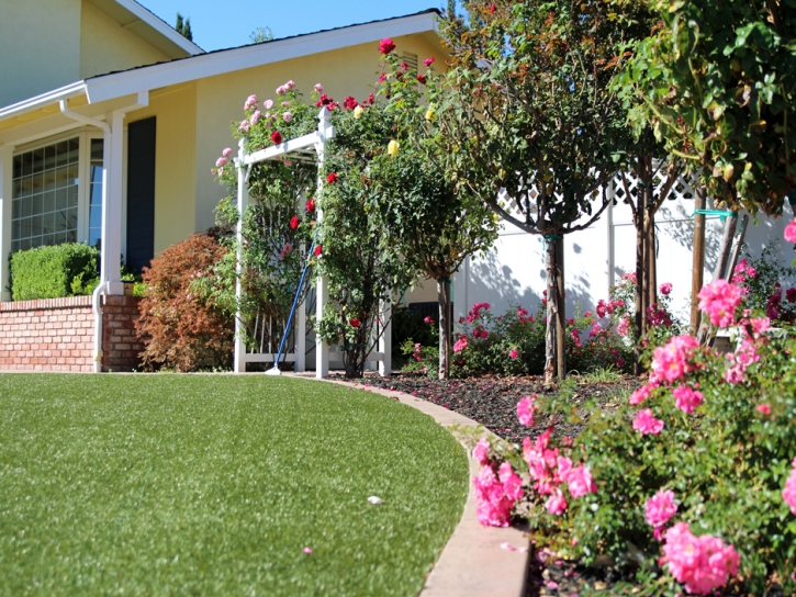 Synthetic Turf Idyllwild-Pine Cove California Landscape