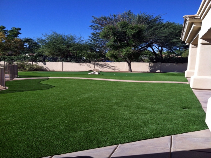 Synthetic Turf Lake San Marcos California Landscape Back