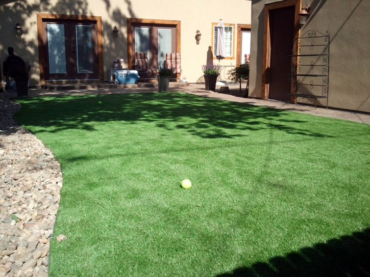 Synthetic Turf Lakeland Village California Lawn Back Yard