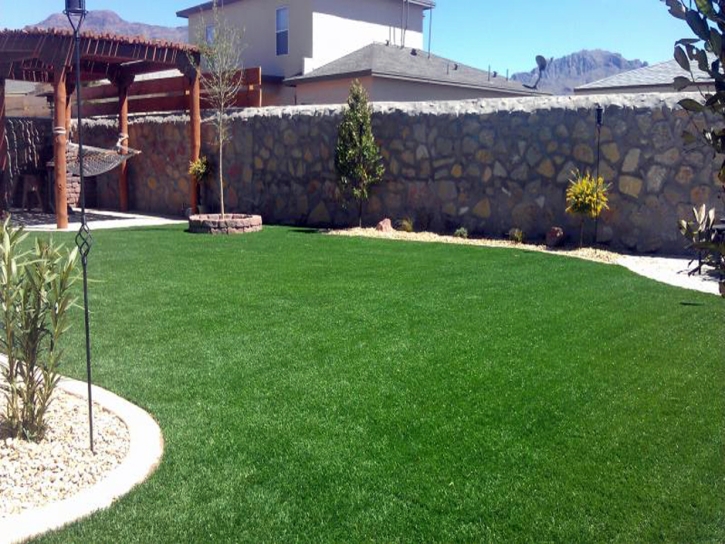 Synthetic Turf Mission Viejo California Landscape Back