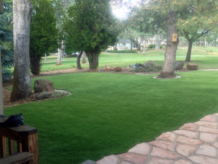 Synthetic Turf Mount Laguna California Lawn Front Yard