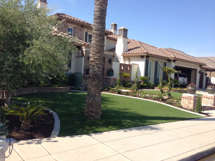 Synthetic Turf Mount Laguna California Landscape Back Yard