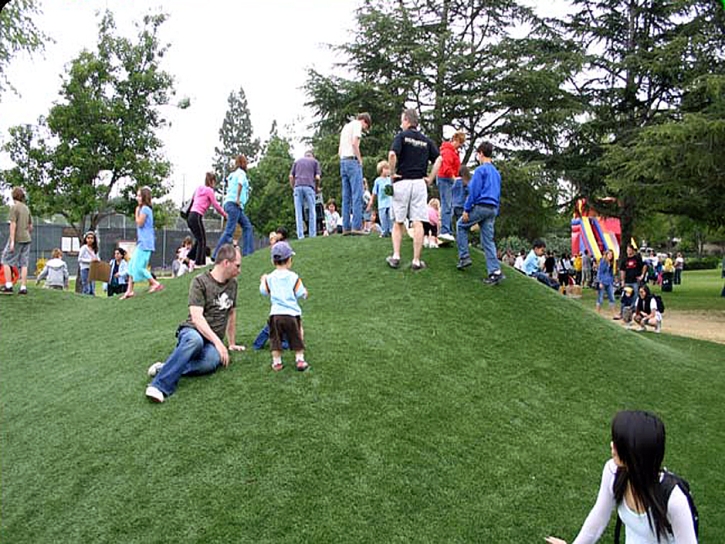 Synthetic Turf Mountain Center California Playgrounds Pavers