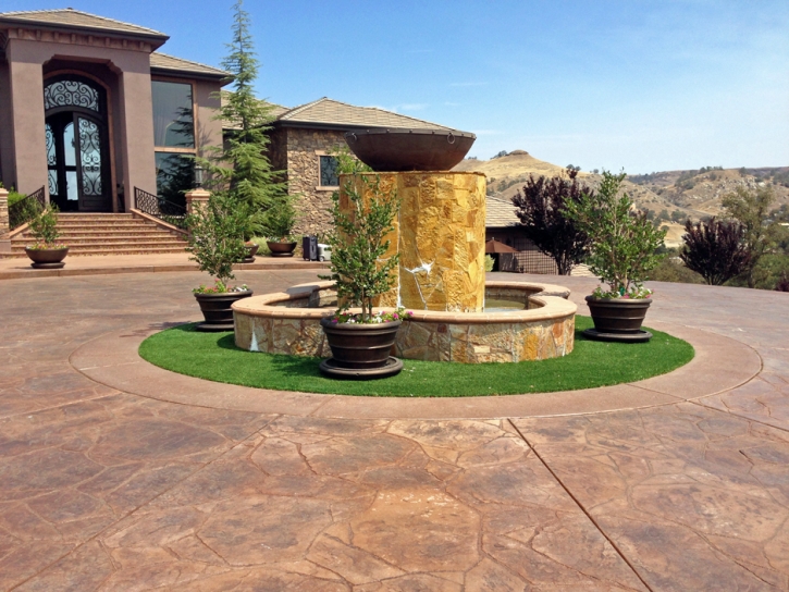 Synthetic Turf North Tustin California Landscape Dogs Park