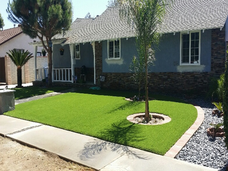 Synthetic Turf San Jacinto California Lawn Back Yard