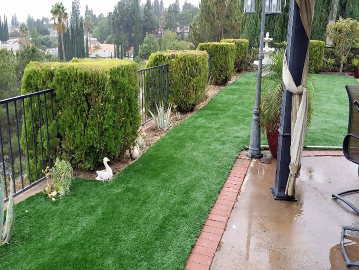 Synthetic Turf San Jacinto California Landscape Back Yard