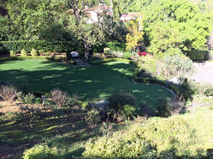 Synthetic Turf San Pedro California Landscape