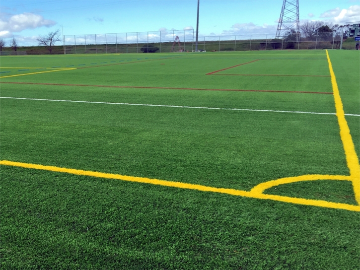 Synthetic Turf Sports Heber California Front Yard