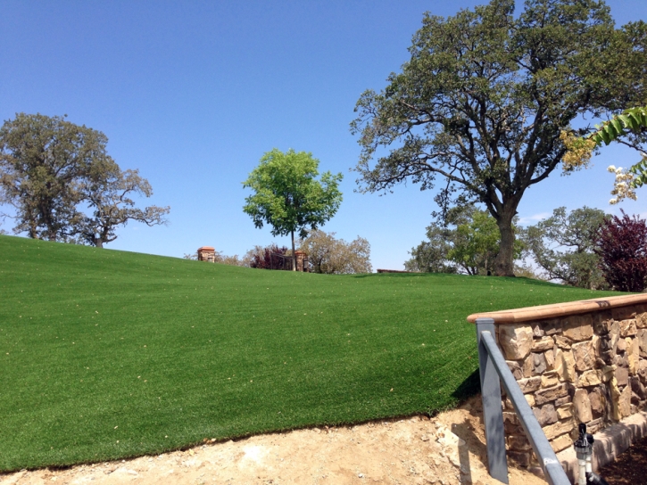 Synthetic Turf Valley Center California Landscape Recreational