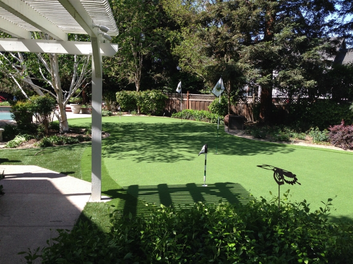 Turf Grass Eucalyptus Hills, California Lawn And Landscape